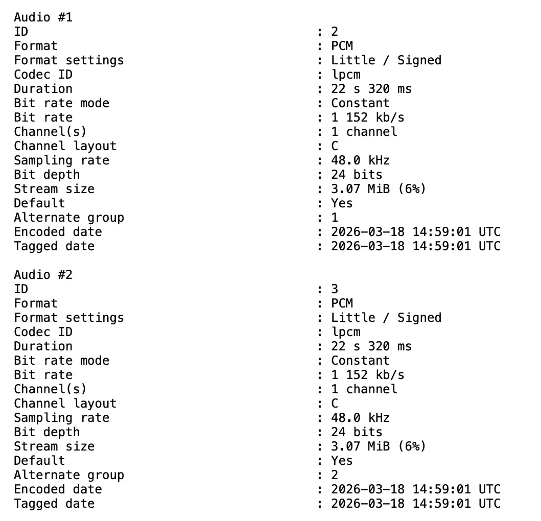 MediaInfo – 2 faixas, 1 canal cada